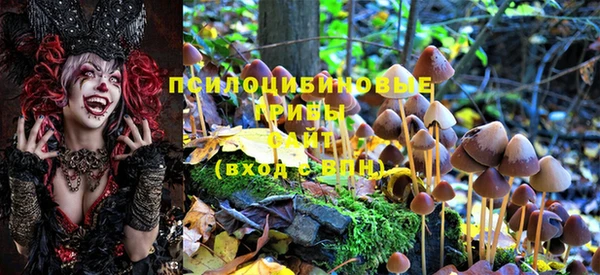 mix Абаза